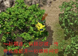 һ;ݺɳǣ˽¿һ빥ʴ