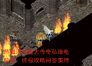 Ѫʢ˽԰棺ռʴ𼯽