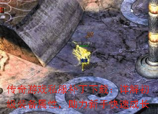 Ϸ˽أװԣֿٳɳ