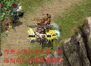 ˽⴫ָ빥ѽ