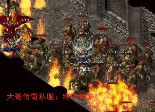 紫˽ռ