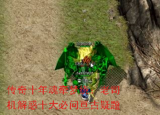 ʮǣƣ˾ʮب