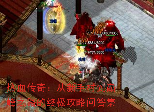 Ѫ棺ִ嵽۷֮·ռʴ