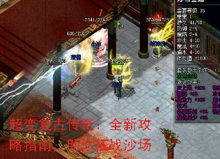 临Ŵ棺ȫ¹ָϣսɳ