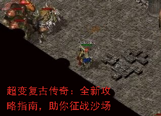 临Ŵ棺ȫ¹ָϣսɳ