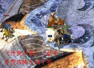 ֿĹʮʮ