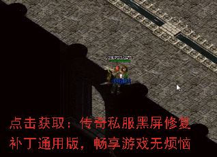 ȡ˽޸ͨð棬Ϸ޷