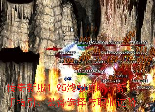 ·1.95ռԣָװѡְҵ