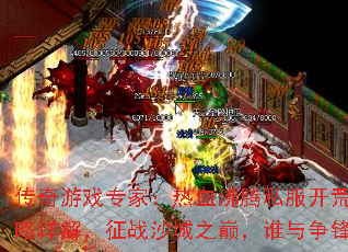 ϷרңѪ˽Ĺ⣬սɳۣ֮˭棿