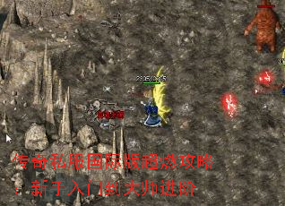 ˽ʰ泬ȼԣŵʦ