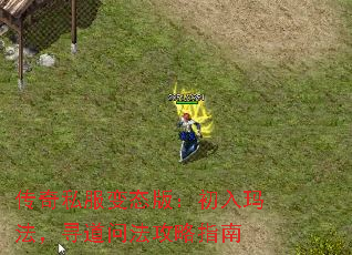 ˽̬棺귨Ѱʷָ
