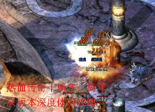Ѫʮ꣺汾鹥