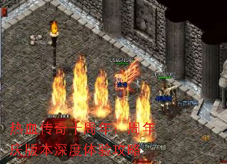 Ѫʮ꣺汾鹥