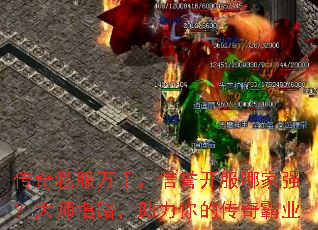 ˽ǧļǿʦָ·Ĵҵ