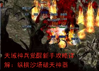 ֹ⣺ݺɳ