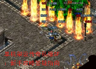 贫˽SFֹԴָ