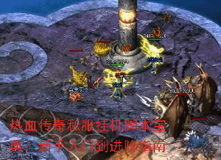 Ѫ˽һű䣺ŵָ