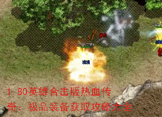 1.80ӢۺϻѪ棺ƷװȡԴȫ