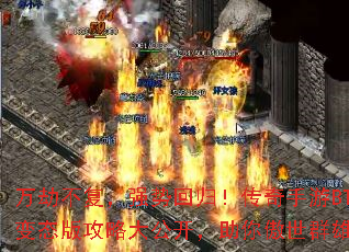 ٲǿƻع飡BT̬湥Դ󹫿Ⱥۣ