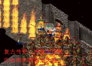 Ŵ棺нγư귨½