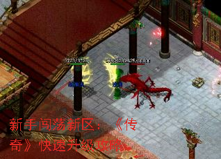 ִ桷