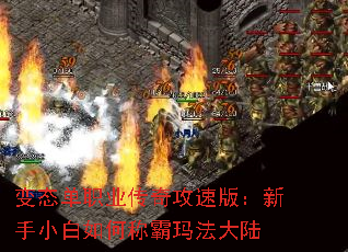 ְ̬ҵ湥ٰ棺Сγư귨½