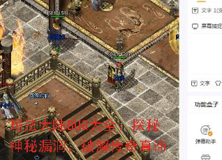 귨½BUGȫ̽©ƽ⴫