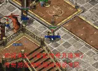 ӭ´濪Ϸʽר