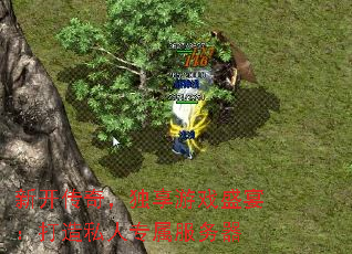 ¿棬Ϸʢ磺˽ר