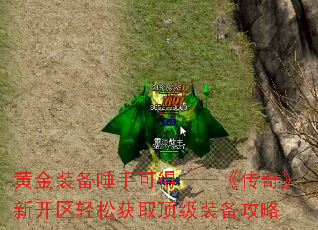 ƽװֿɵá桷¿ɻȡװ