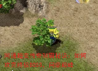 ͨ䴫ưؾιռBOSSʶ۷