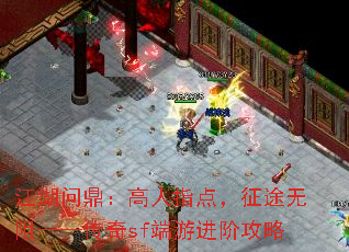 ʶָ㣬;衪sfν׹