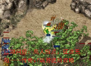ʶָ㣬;衪sfν׹