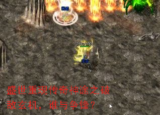 ʢִ;֮Ƶ˭棿