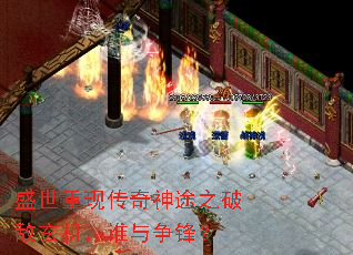ʢִ;֮Ƶ˭棿