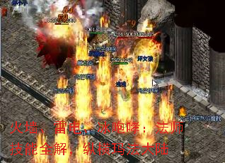ǽ׵硢ʦȫ⣬ݺ귨½