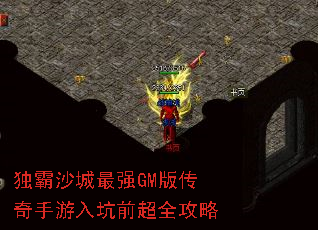 ɳǿGM洫ǰȫ