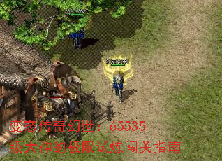 ̬65535ļָ