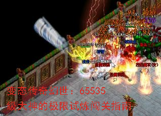 ̬65535ļָ
