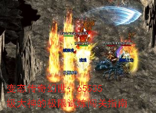 ̬65535ļָ