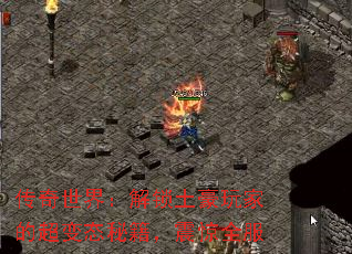 磺ҵĳ̬ؼȫ