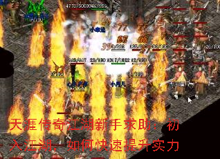 Ĵ潭뽭οʵ