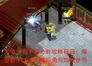 Ӵαʤؼɻ´귨