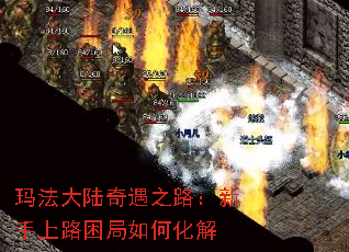 귨½֮··λ