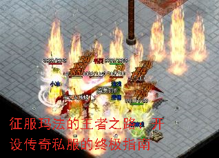 귨֮·贫˽ռָ