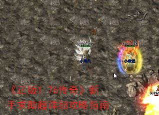 1.76桷ϸָ