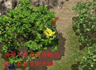 ƽ̨ȫ湥ָϣֵ