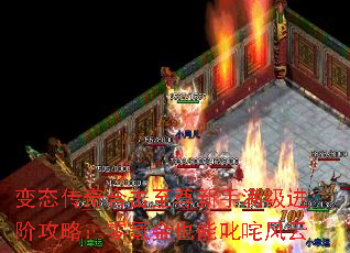 ̬ϻ׹ԣ봽Ҳ߳