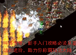 棺ŹԱضӻףư귨½