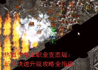 Ѫ浥ְҵ̬棺ֿȫָ